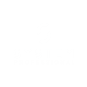 Logo System Professional